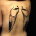 Tattoos - White-tailed Tropicbird - 77216